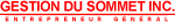 gestion du sommet logo